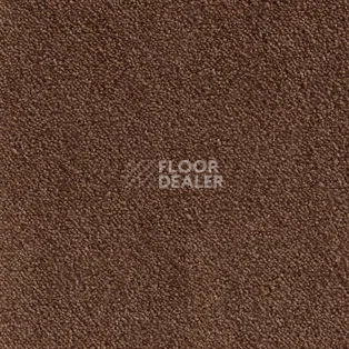 Ковролин AW Strada 44 фото 1 | FLOORDEALER